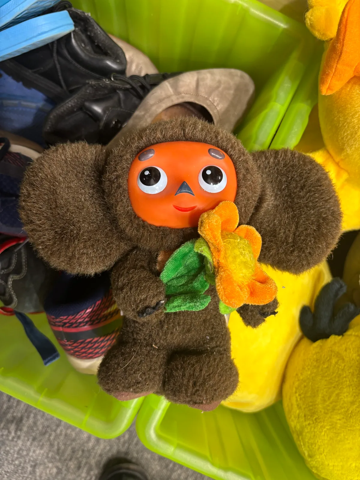 Pekausis ar oranžu seju ražots ķīnā. Catch and release… #labubu in Rīga