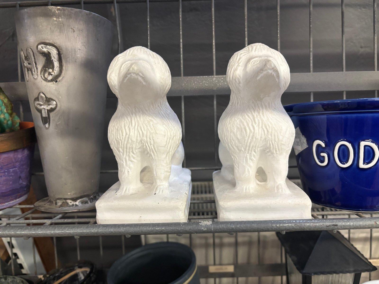 Pāris suņi, tādai vietai, kur divām lauvām nav vietas. Katra par 3eur.